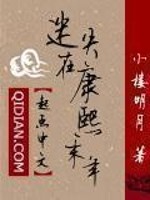 迷失在康熙末年女主都有谁