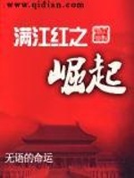 满江红之崛起免费阅读