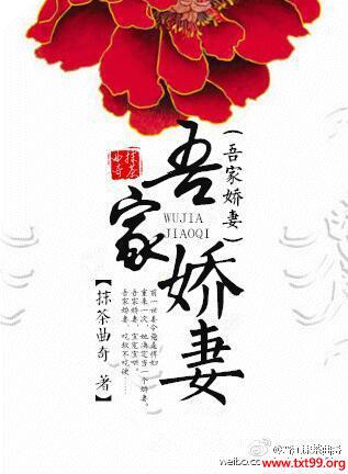 吾家娇妻小说全文阅读