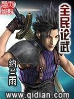 全民论武txt