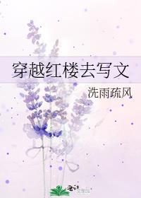 穿越红楼去写文精校