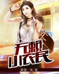 小说无赖野民