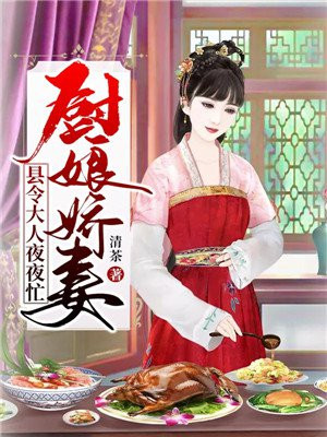 厨娘小说穿越小说