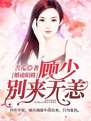 婚途陌路言少下了追妻令