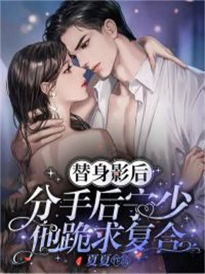 替身影后分手后宁少他跪求复合结局