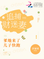 追捕财迷妻爹地来了儿子快跑 相似的小说