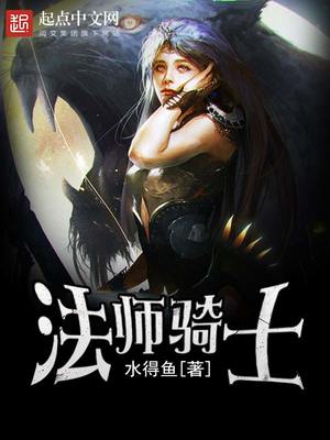 法师骑士游侠剑士的小说