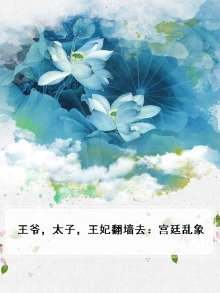 王爷，太子，王妃翻墙去：宫廷乱象