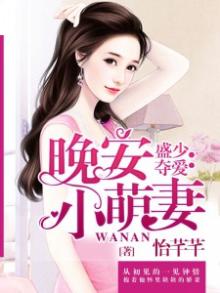 盛宠萌妻安小暖全文免费阅读