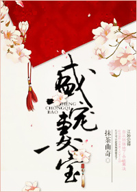 盛宠妻宝 笔趣阁