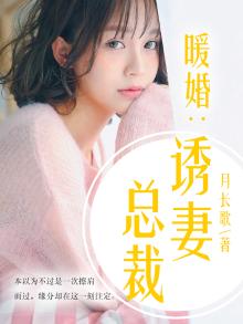 暖婚总裁小说