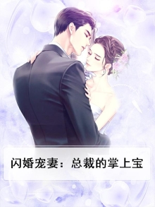 闪婚总裁宠妻上瘾了免费阅读全文