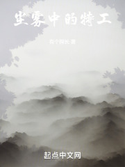 尘雾中的特工小说下载