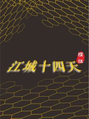江城30天天气预报