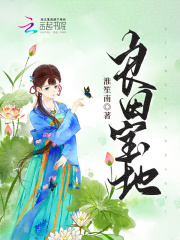 良田宝地简介内容