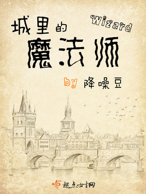 城里的魔法师 小说