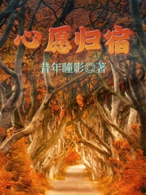 心愿归宿小说