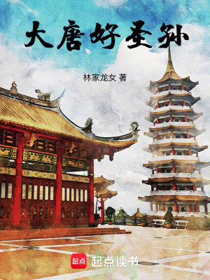 大唐好圣孙无防盗