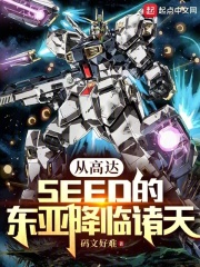 从高达开始