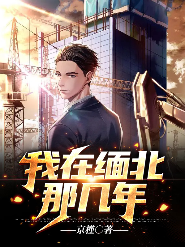 我在缅北那几年txt