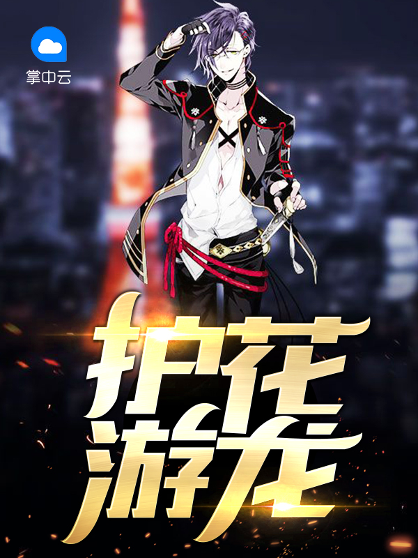 护花狂龙角色介绍