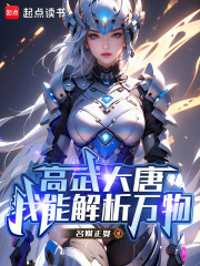 高武大唐：我能解析万物