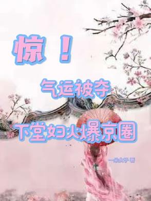 下堂妇的锦绣前程 小说