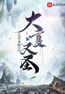 大夏文圣免费阅读