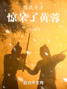 练武奇才,惊呆了黄蓉