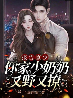 报告京少,你家少奶奶又野又撩书评