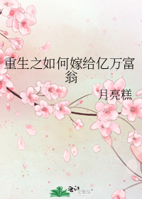 重生之如何嫁给亿万富翁