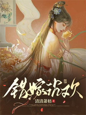 错嫁成婚全文阅读