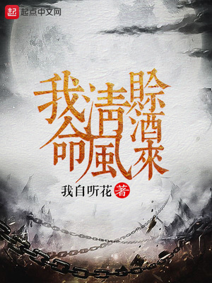 我命清风赊酒来境界