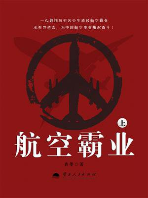 航空霸业（上）