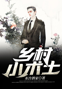 乡村小术士 阅读