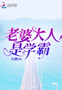 老婆大人是学霸 九曲