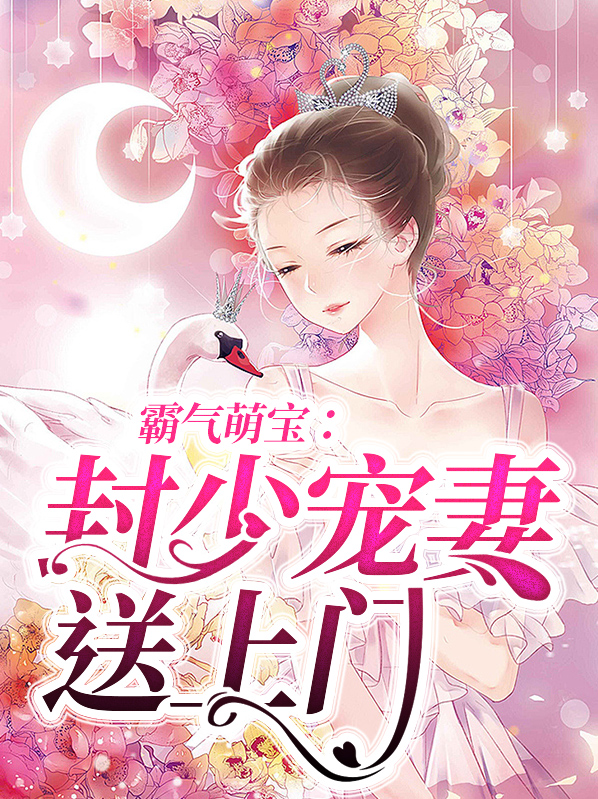 霸气萌宝:封少宠妻送上门小说
