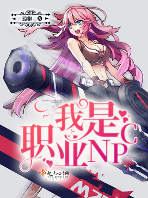 我是职业npc有男主吗