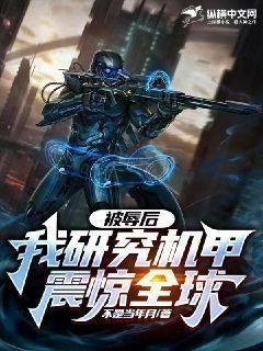 我研究机甲被发现了