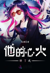 他火小说