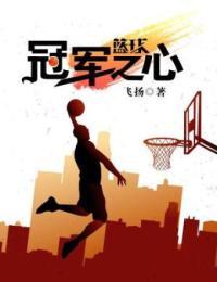 篮球之冠军之心TXT奇书网