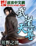 武道天尊在线观看