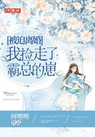 被迫离婚,我捡走了霸总的崽 结局
