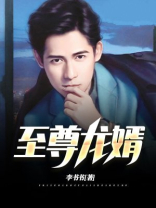 至尊龙婿叶辰免费全文阅读