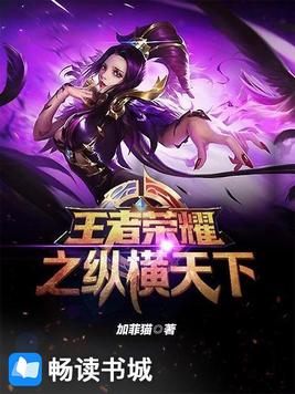 王者荣耀之纵横天下 小说