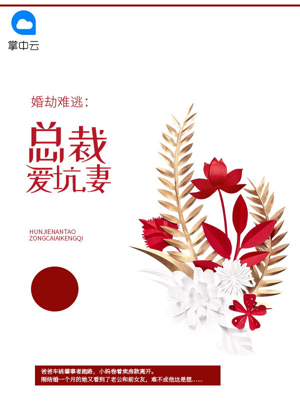 婚劫难逃总裁爱坑妻