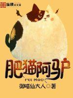肥猫阿驴 御喵仙大人
