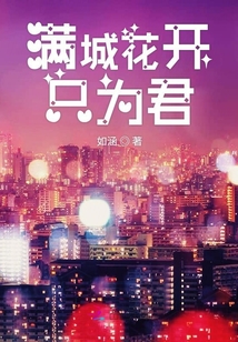 满城花开 歌词