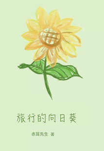 向日葵的旅行日记攻略