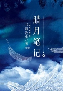 腊月笔记 小说